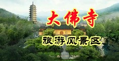 熟女的B都干肿了中国浙江-新昌大佛寺旅游风景区